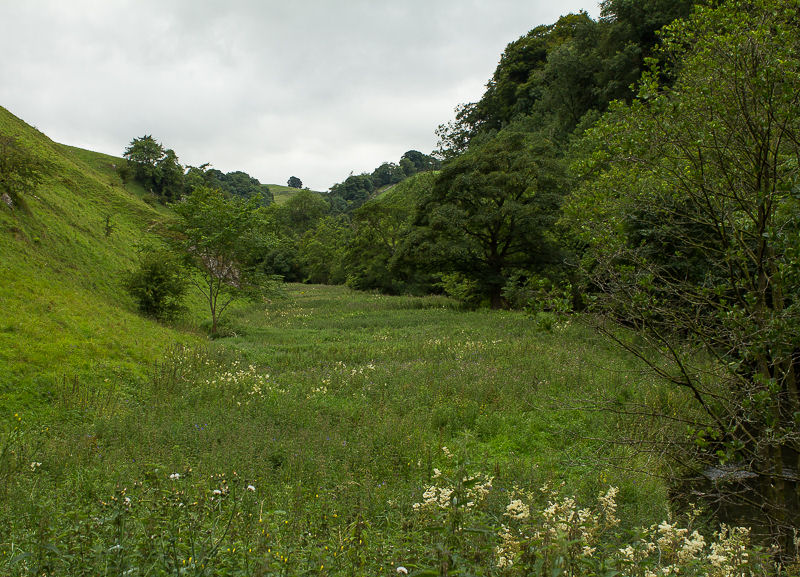 Mill Dale Mill Dale